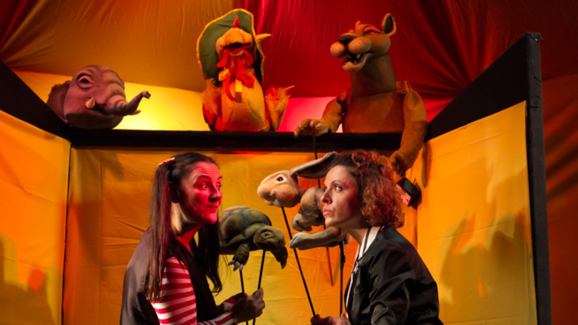 Carnevale degli Animali_1