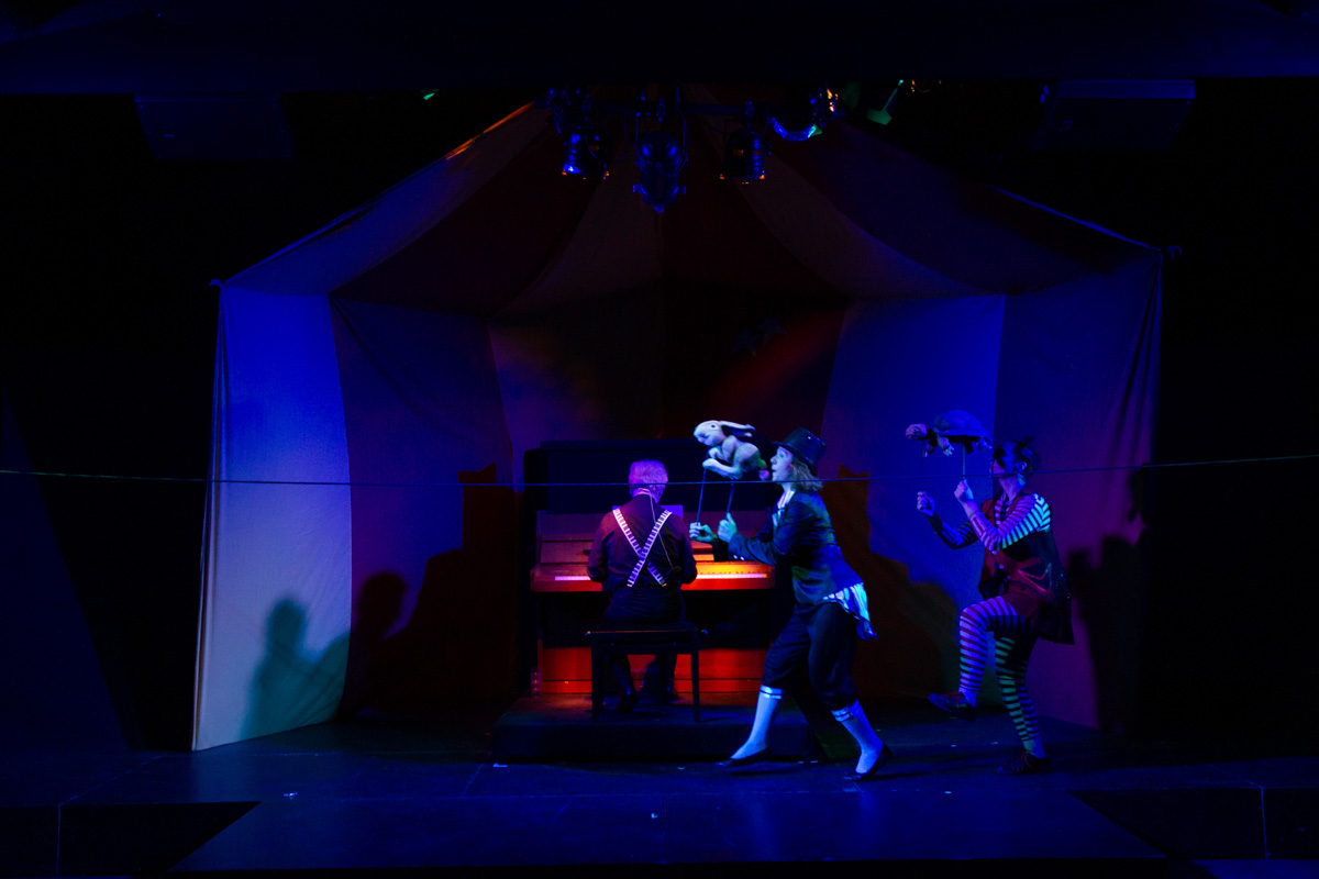 Il-Carnevale-degli-Animali-2020-0121